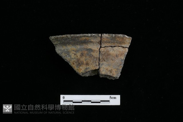 陶罐藏品圖，第1張
