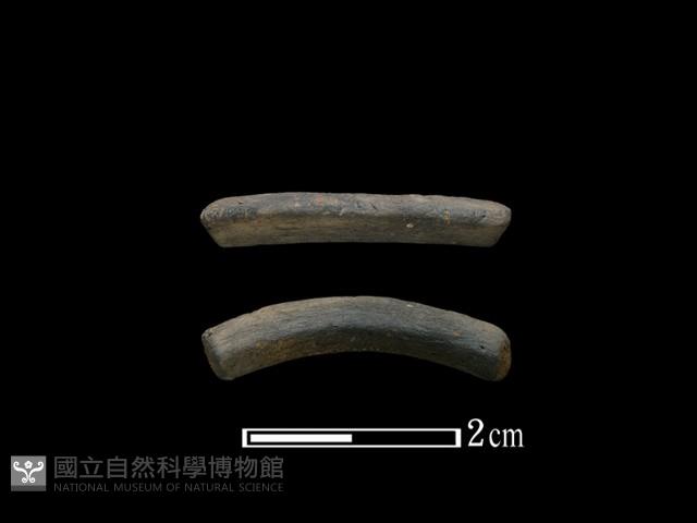 Accession Number:TC273-2018-090 Collection Image