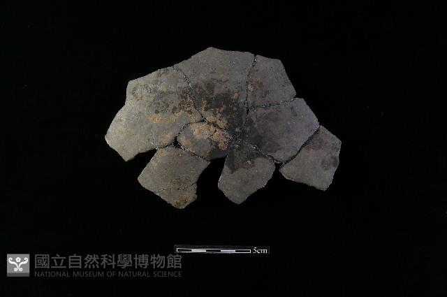 陶片藏品圖，第1張