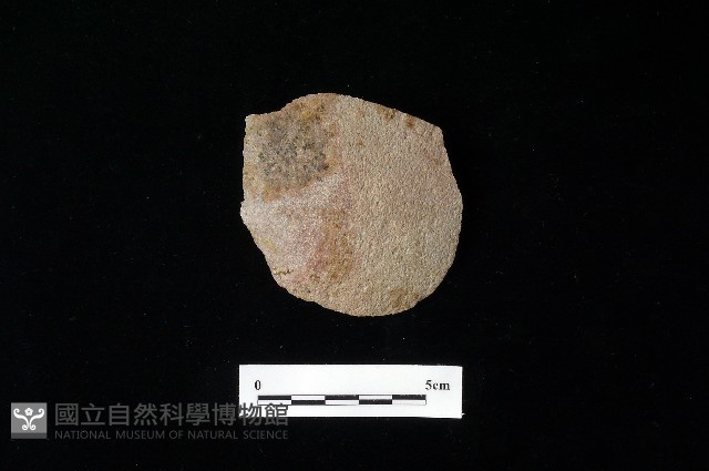 石片器藏品圖，第1張