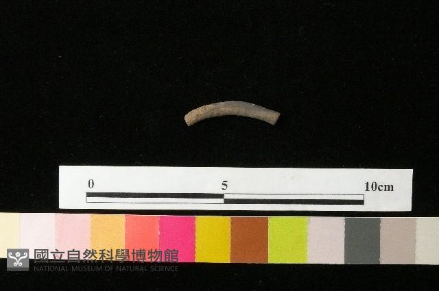 陶環藏品圖，第1張