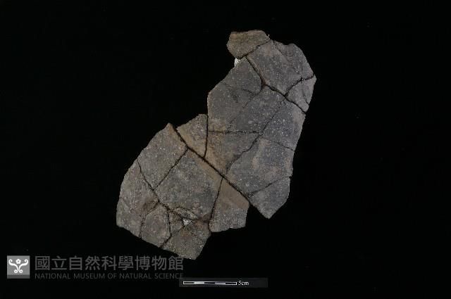 陶罐藏品圖，第1張