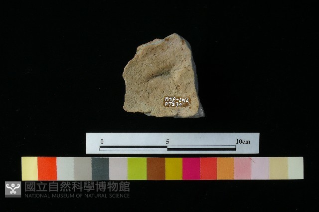 陶蓋藏品圖，第2張