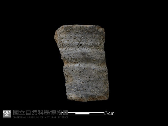 陶罐藏品圖，第1張
