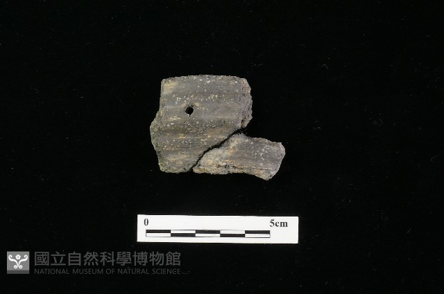 陶罐藏品圖，第2張