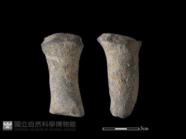 鼎足藏品圖，第1張
