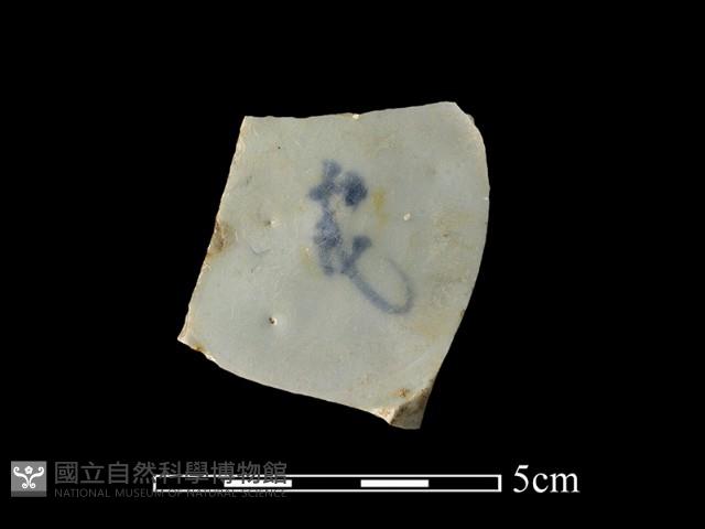 瓷片藏品圖，第2張