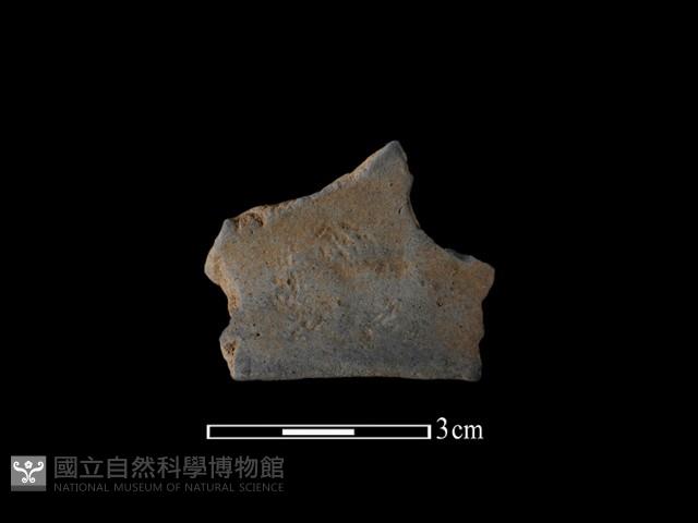 陶片藏品圖，第1張