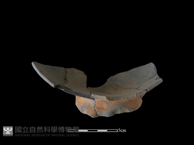 陶片藏品圖，第2張