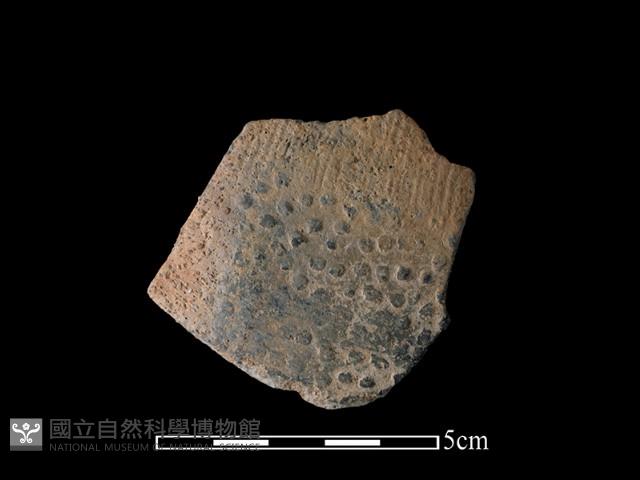 陶片藏品圖，第1張