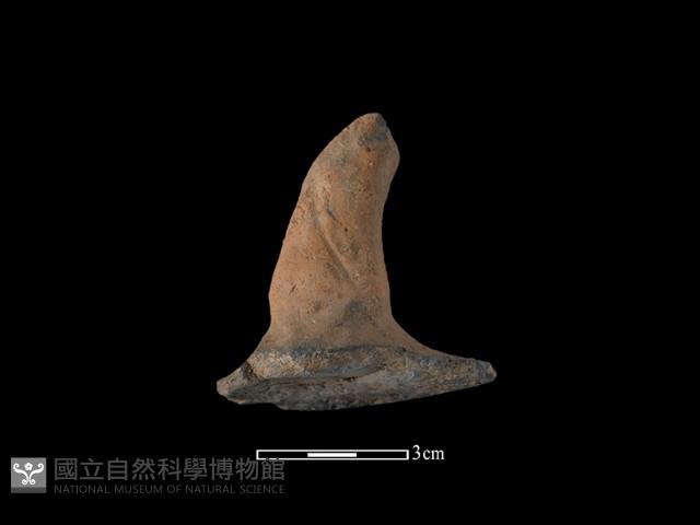 陶蓋鈕藏品圖，第1張