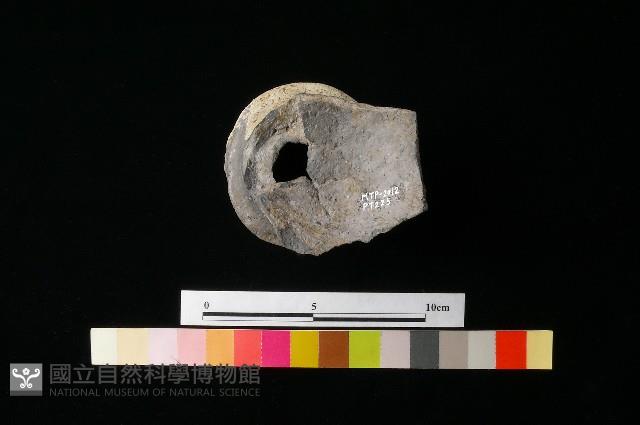 陶片藏品圖，第2張