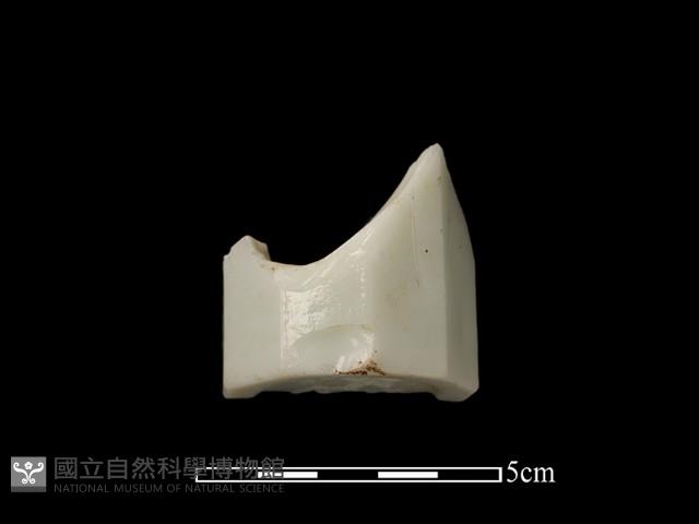 玻璃瓶藏品圖，第1張