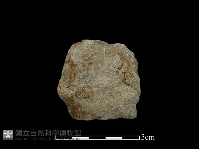 斧鋤形器藏品圖，第2張