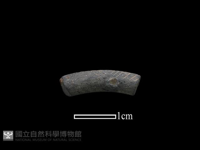 陶環藏品圖，第1張