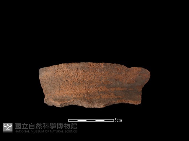 陶罐藏品圖，第1張