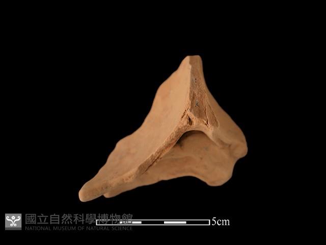 連杯形器藏品圖，第2張