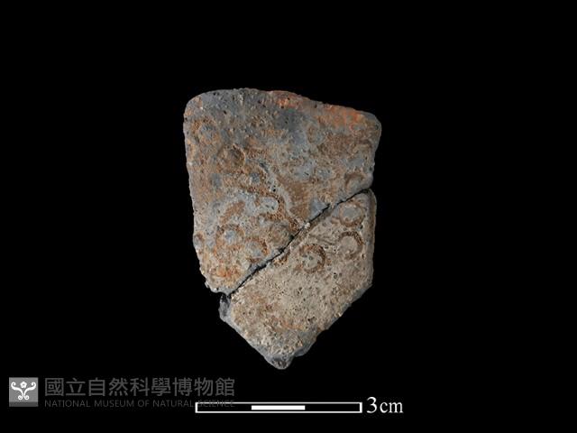 陶片藏品圖，第1張