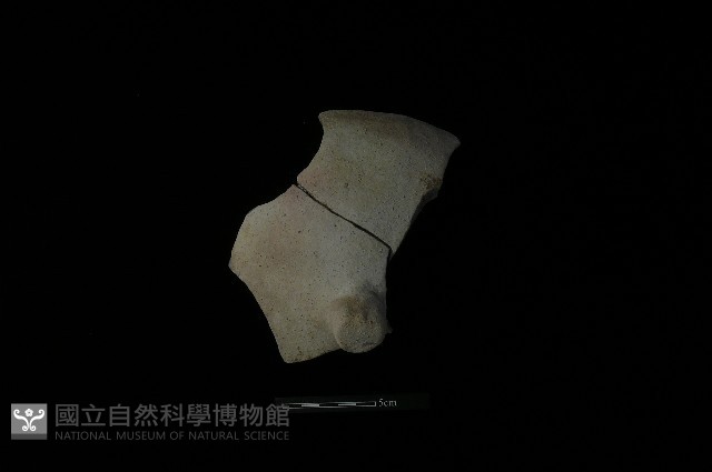 陶蓋鈕藏品圖，第2張