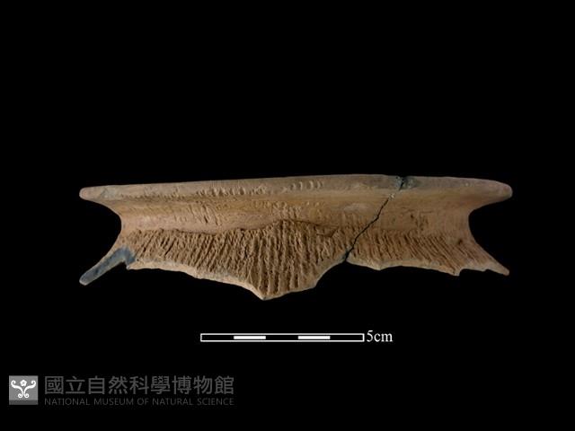 陶罐藏品圖，第1張