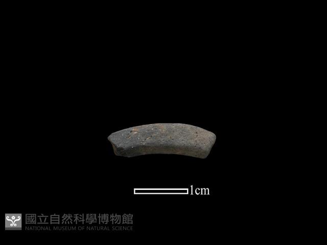 陶環藏品圖，第1張