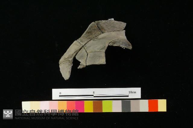 陶罐藏品圖，第1張