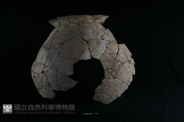 陶罐藏品圖，第1張