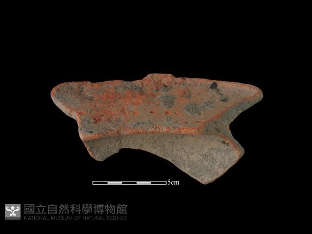 Accession Number:NSKII-2017-305 Collection Image, Figure 1, Total 3 Figures