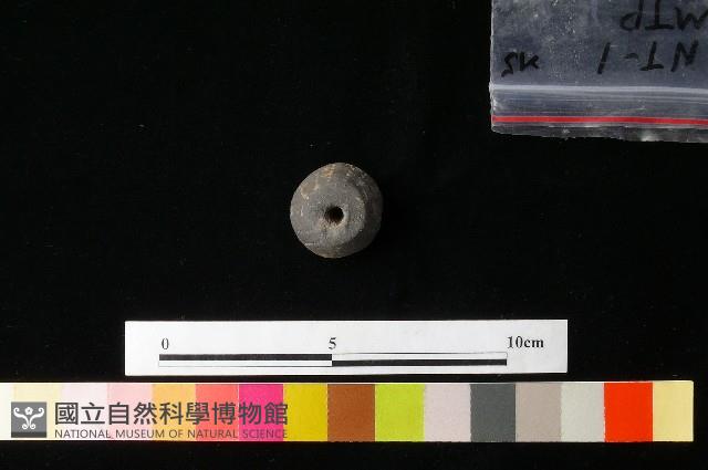 紡輪藏品圖，第2張