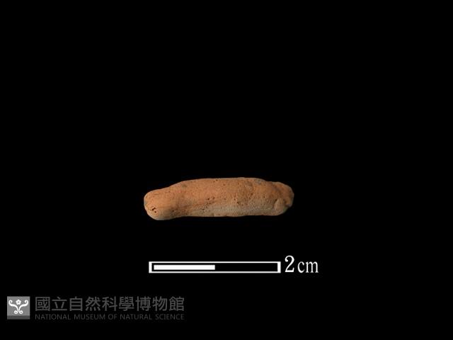 陶環藏品圖，第1張