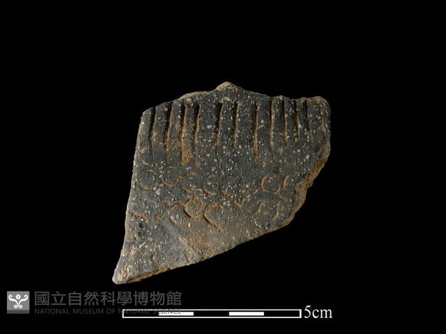 陶片藏品圖，第1張