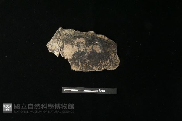 陶片藏品圖，第1張