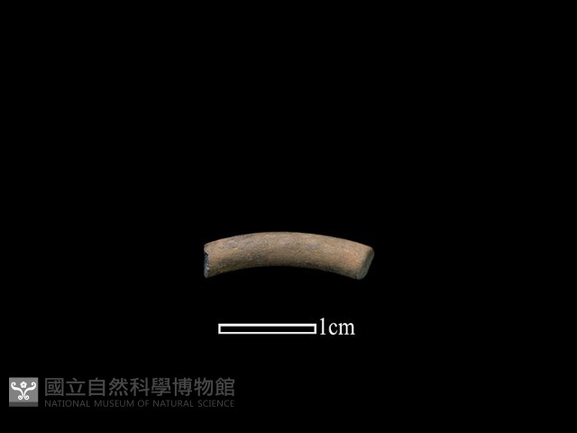 陶環藏品圖，第1張