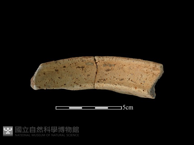 陶罐藏品圖，第1張