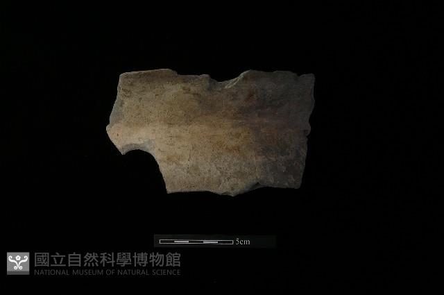 陶罐藏品圖，第1張