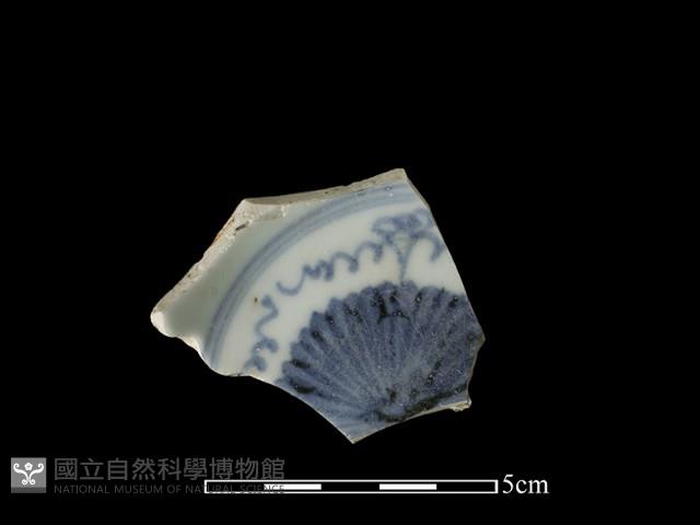 Accession Number:TCCC-2013-0245 Collection Image, Figure 1, Total 2 Figures