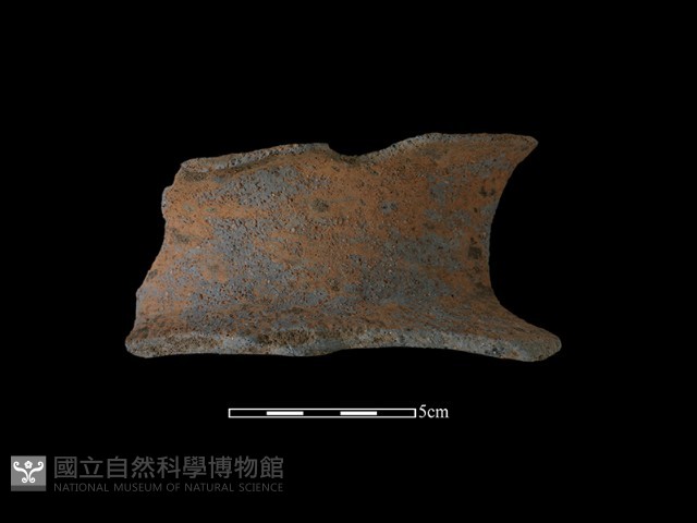 陶罐藏品圖，第2張