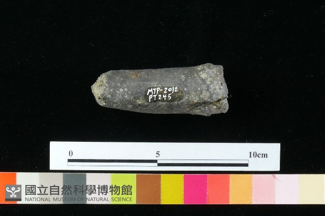 獸足藏品圖，第2張