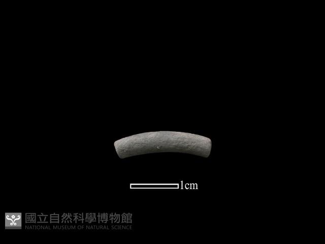 陶環藏品圖，第1張