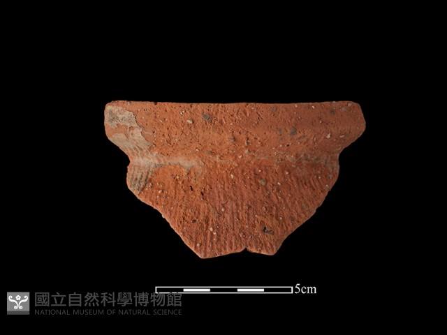 陶罐藏品圖，第2張