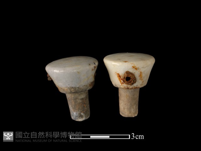 瓶塞藏品圖，第1張