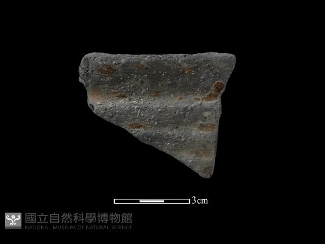 陶罐藏品圖，第2張