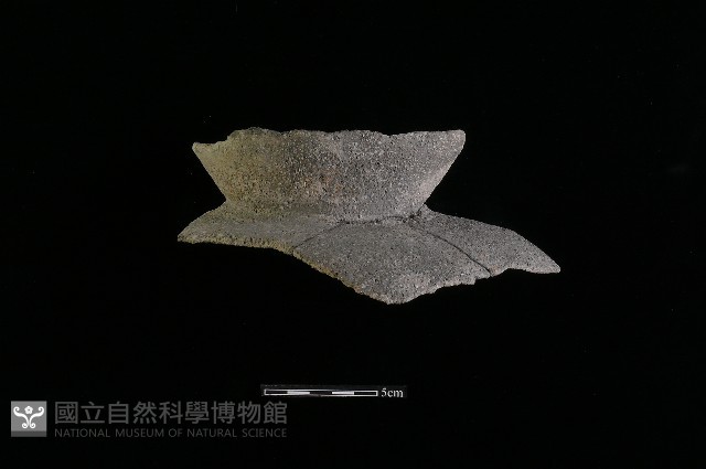 陶罐藏品圖，第2張