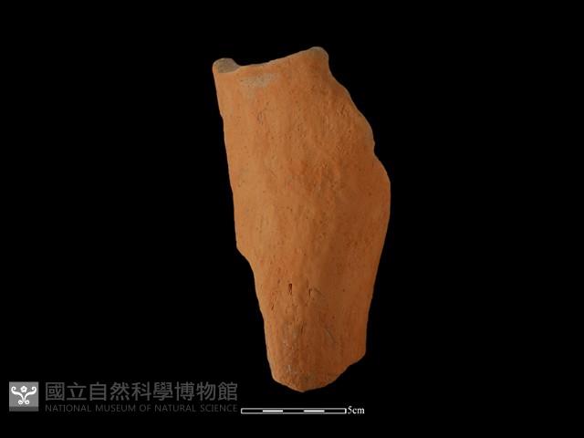 Accession Number:NSKII-2017-345 Collection Image, Figure 2, Total 2 Figures