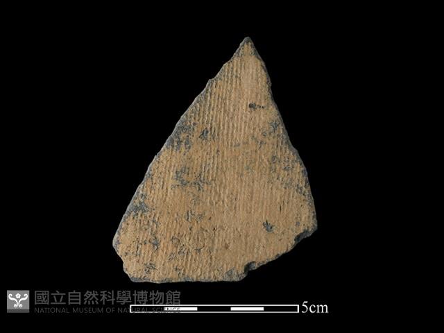 陶片藏品圖，第1張