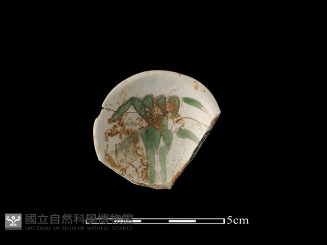 湯匙藏品圖，第1張