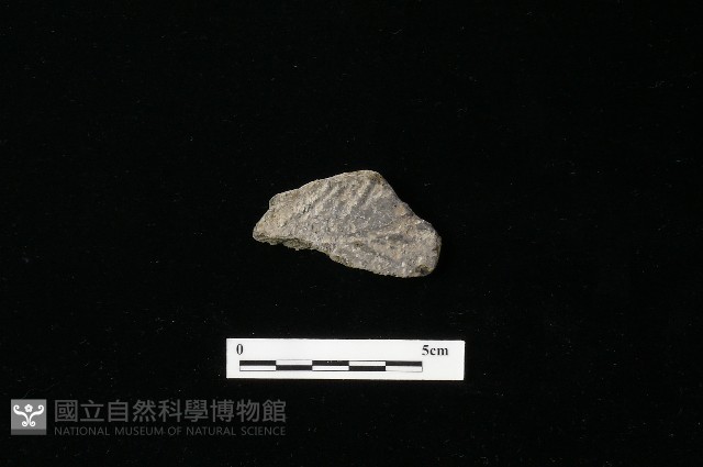 陶器藏品圖，第2張
