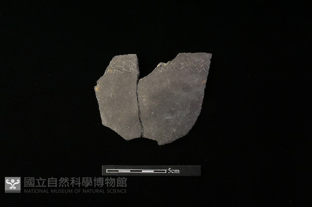 陶片藏品圖，第2張