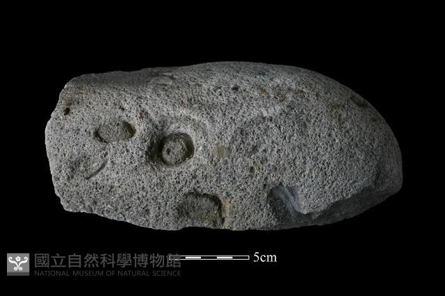 石鎚藏品圖，第1張