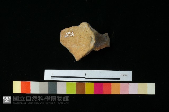 陶蓋藏品圖，第2張